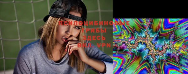 прущий лед Лагань