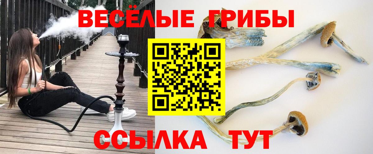 Псилоцибиновые грибы Cubensis  Псилоцибиновые грибы ЛСД  Вход с VPN  Троицк 