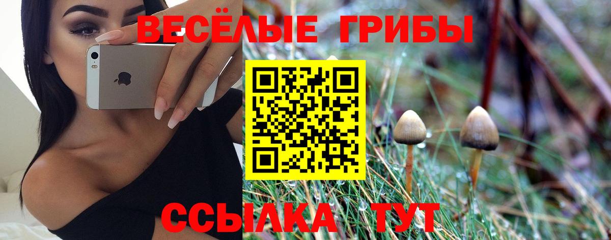 Галлюциногенные грибы прущие грибы Троицк